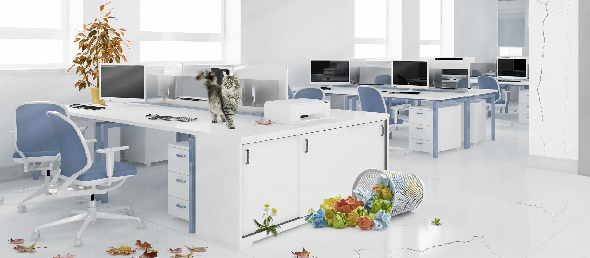 Auf der Abbildung ist ein heller Büroraum zu sehen. Darin ist ein Papiermülleimer umgekippt und eine Katze ist auf den Schreibtisch geklettert. Die Büropflanzen verlieren ihre Blätter und die Wände werden rissig.