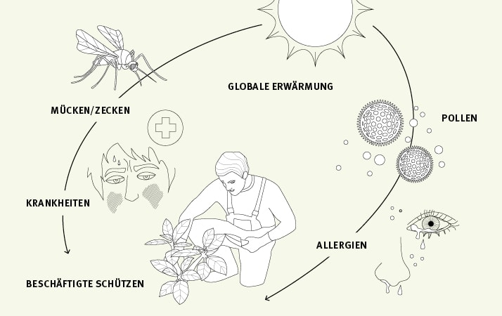 Die beschriftete Illustration zeigt mithilfe von Symbolen, wie die globale Erwärmung zu mehr Allergien führt.